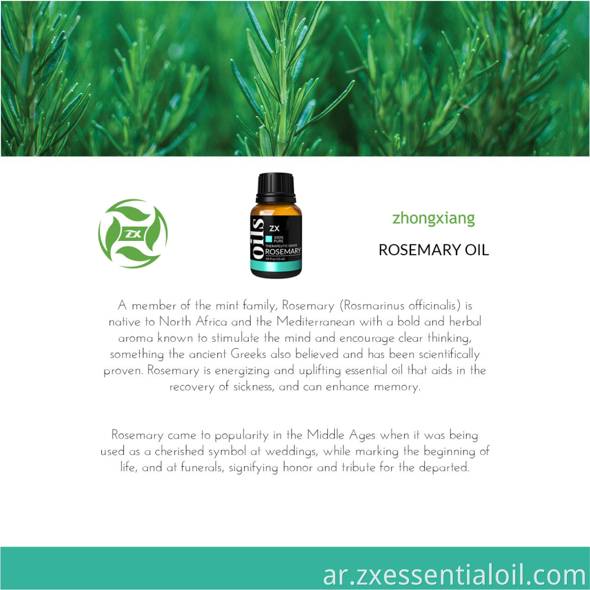 Rosemary Oil3